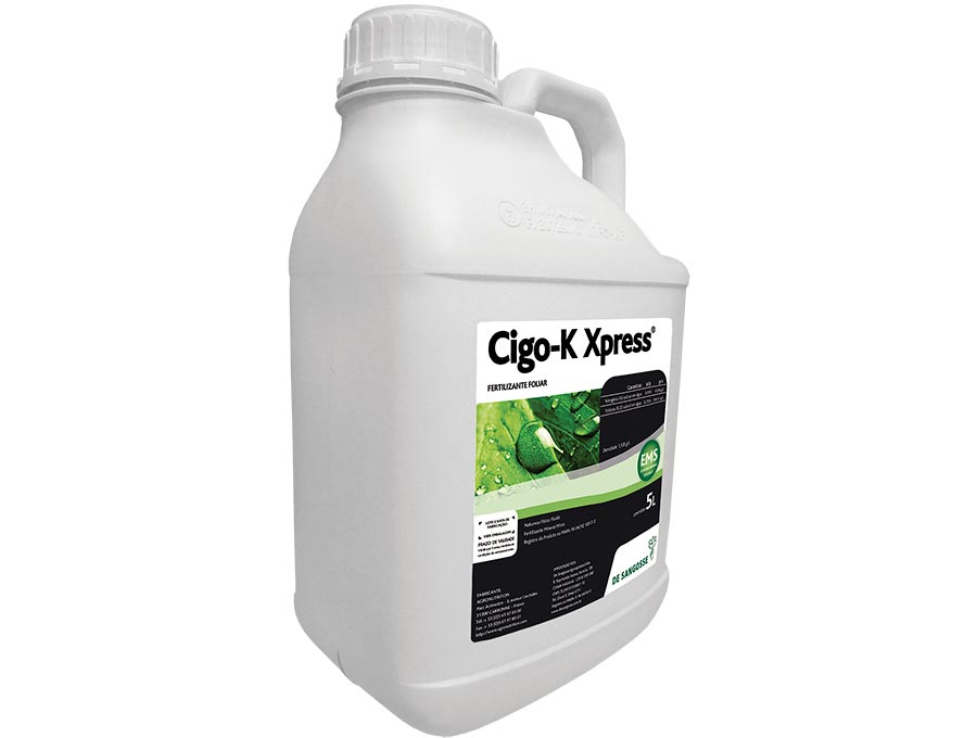 Cigo-K Xpress 